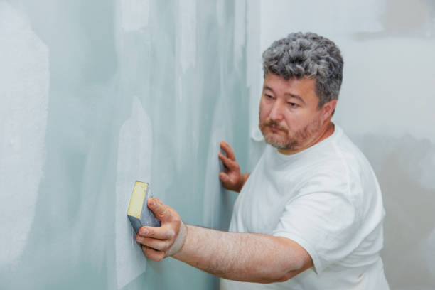 Best Water-Damaged Drywall Repair  in Forest, VA